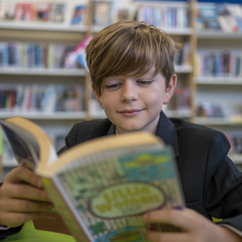 Pupil reading book